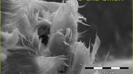 REM-Bild Chrysotil-Asbest in Dichtung | © CRB Analyse Service GmbH