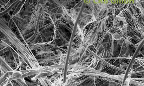 SEM-picture of chrysotile asbestos in flat gaskets, grommets | © CRB Analyse Service GmbH